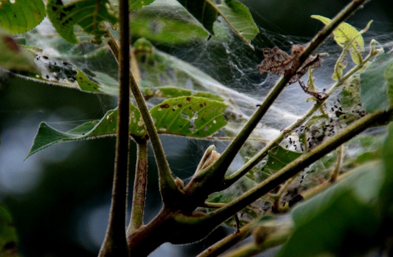 f:id:hashiba511:20110912074251j:image:w500