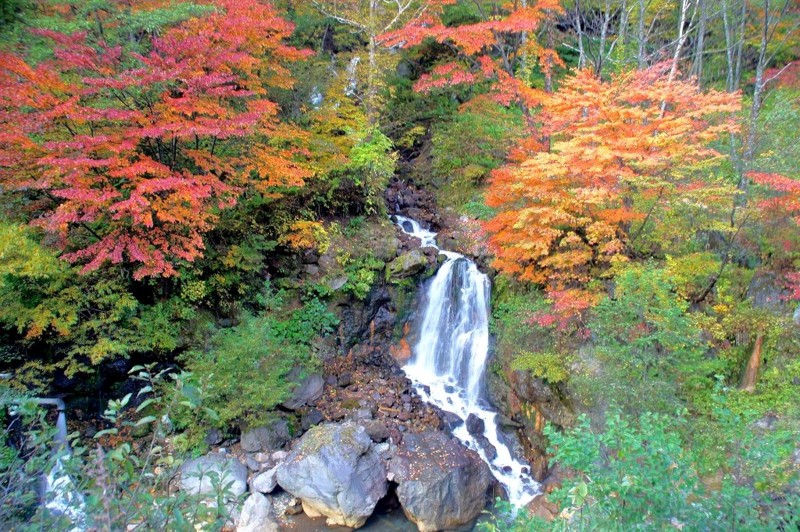 f:id:hashiba511:20111021053347j:image:w500