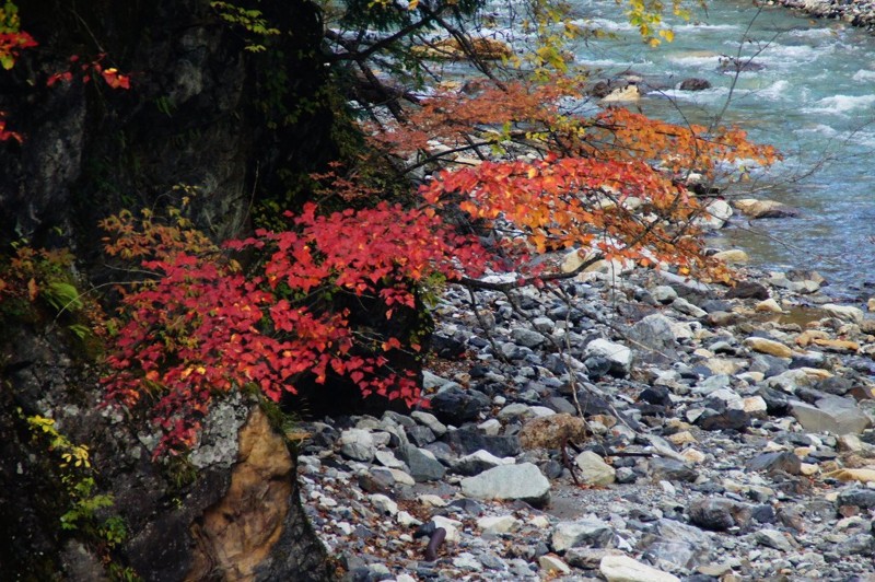f:id:hashiba511:20111021053348j:image:w500
