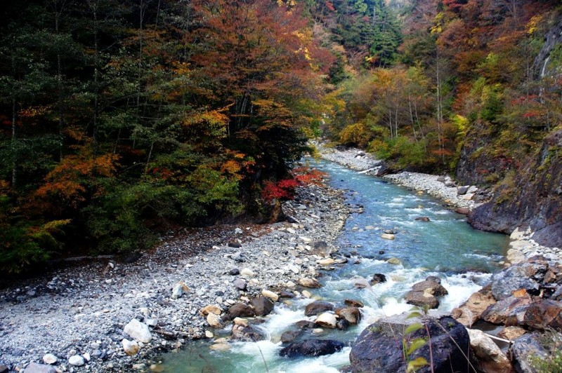 f:id:hashiba511:20111021053350j:image:w500