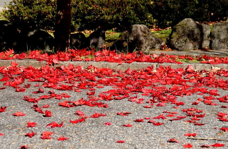 f:id:hashiba511:20111102081940j:image:w500