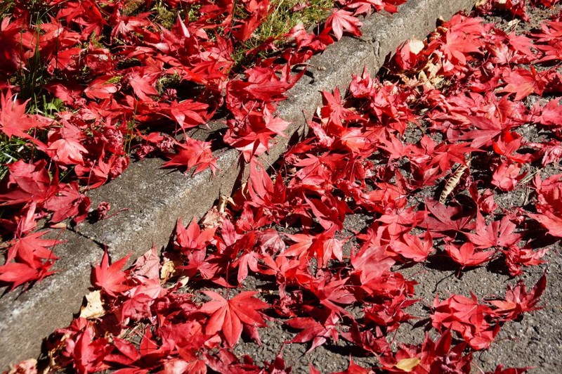 f:id:hashiba511:20111102081941j:image:w500