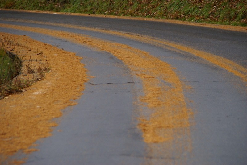 f:id:hashiba511:20111116055525j:image:w500