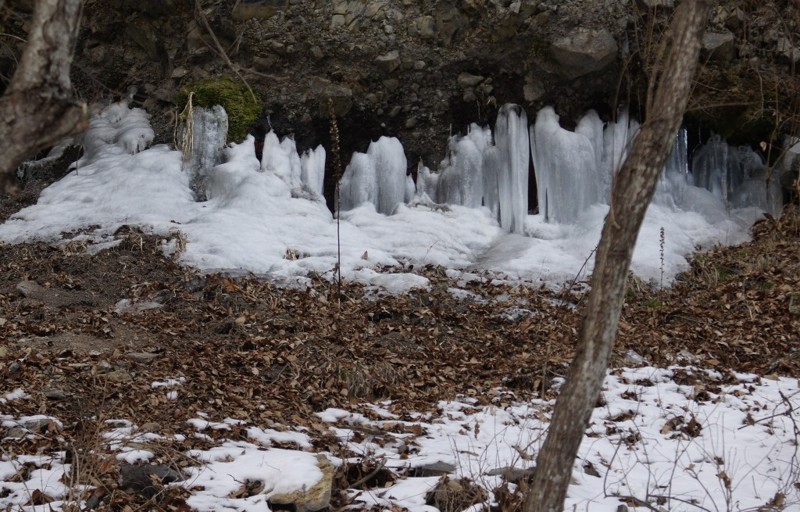 f:id:hashiba511:20120203042211j:image:w500