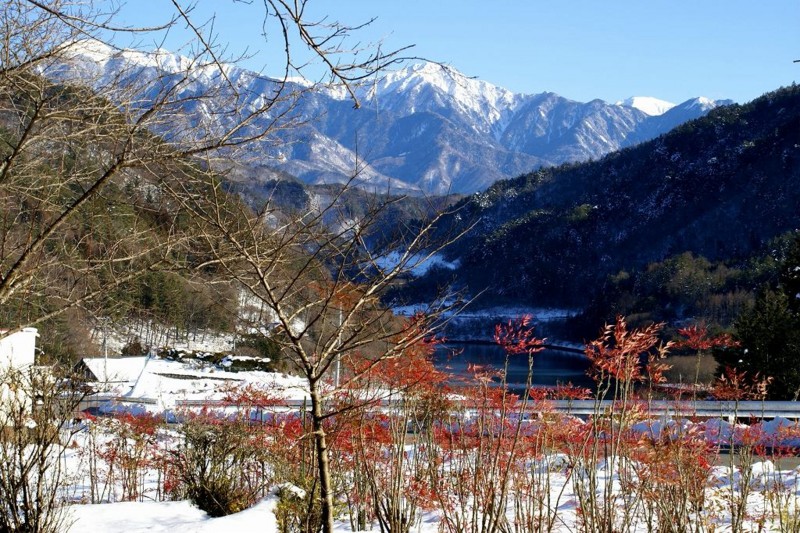 f:id:hashiba511:20120210075153j:image:w500
