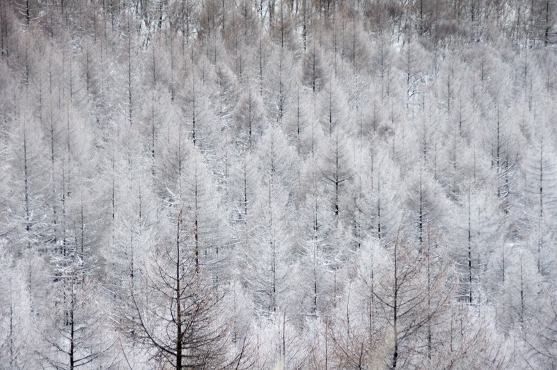 f:id:hashiba511:20120218062535j:image:w500