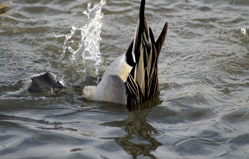 f:id:hashiba511:20120221042026j:image:w500
