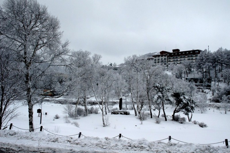 f:id:hashiba511:20120223065447j:image:w500