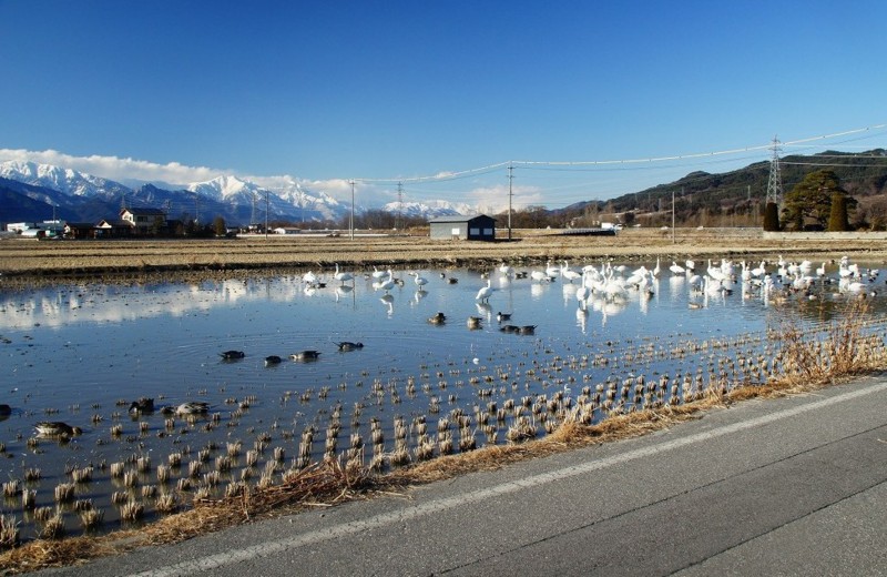 f:id:hashiba511:20120225045252j:image:w500