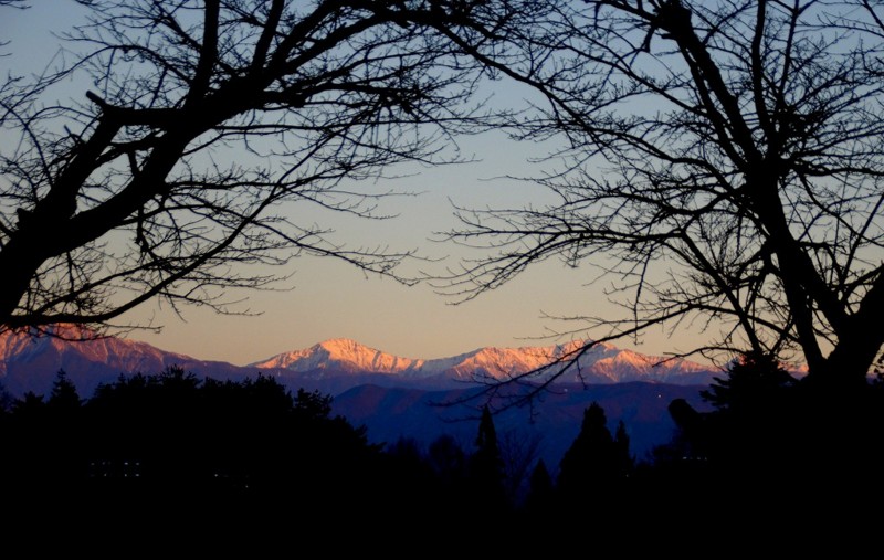 f:id:hashiba511:20120301045658j:image:w500