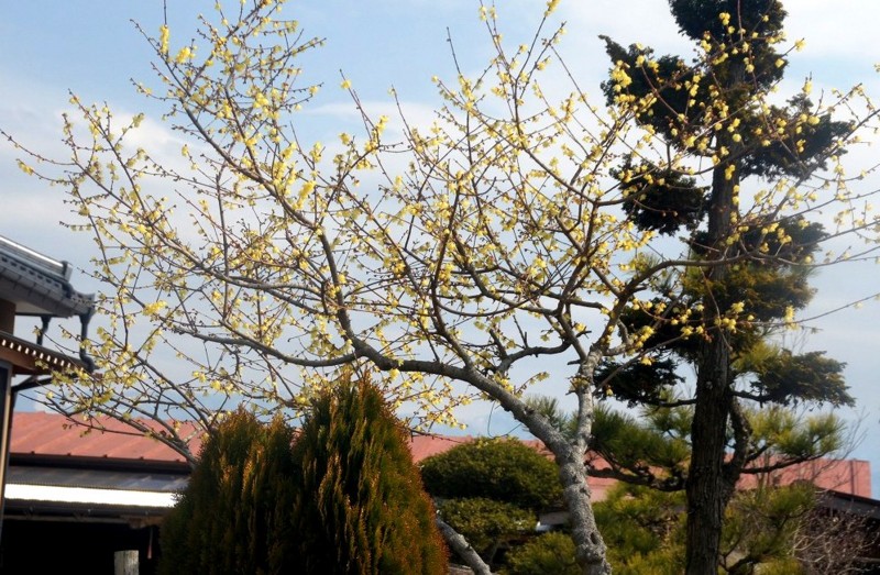 f:id:hashiba511:20120306053818j:image:w500