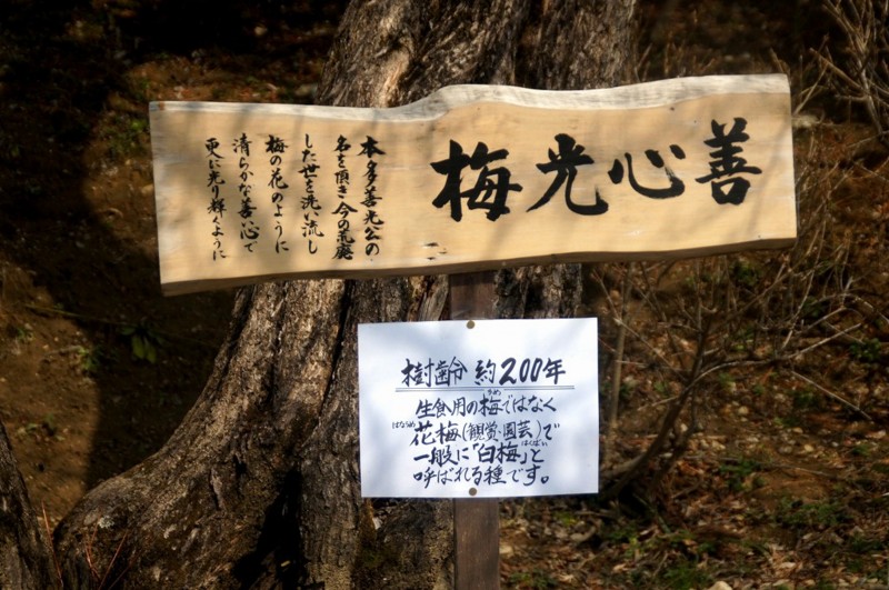 f:id:hashiba511:20120306053822j:image:w500