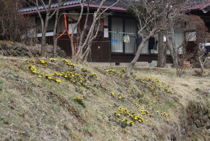 f:id:hashiba511:20120309045731j:image:w500