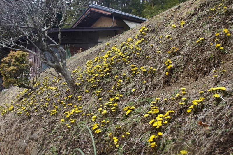 f:id:hashiba511:20120309045736j:image:w500