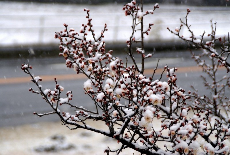 f:id:hashiba511:20120313045230j:image:w500