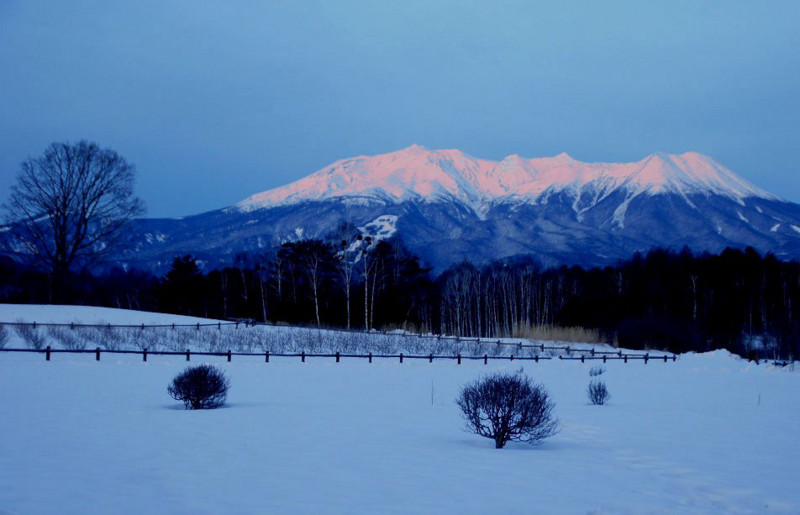 f:id:hashiba511:20120315075713j:image:w500