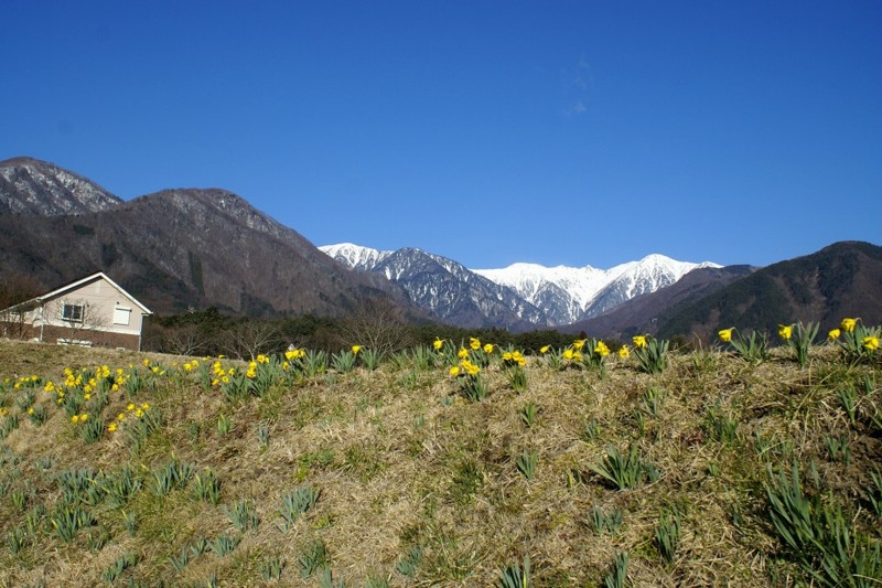f:id:hashiba511:20120322175849j:image:w500