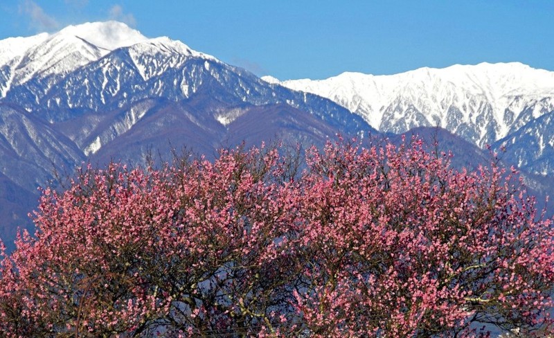 f:id:hashiba511:20120409050903j:image:w500