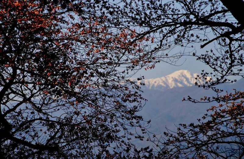 f:id:hashiba511:20120422184513j:image:w500