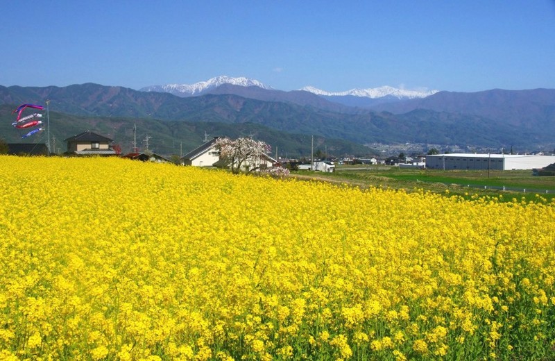 f:id:hashiba511:20120429020150j:image:w500