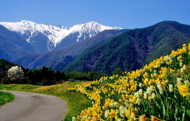 f:id:hashiba511:20120501051705j:image:w500