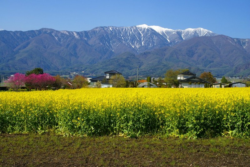 f:id:hashiba511:20120501051706j:image:w500