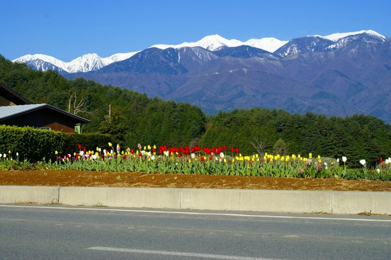 f:id:hashiba511:20120501051708j:image:w500