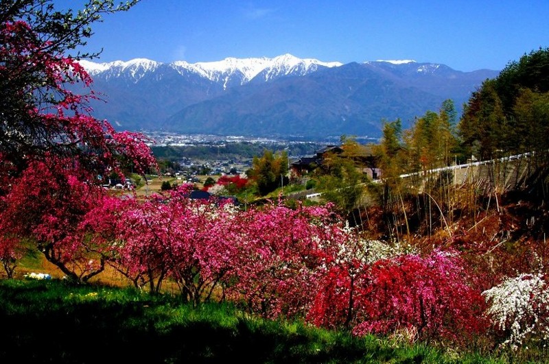 f:id:hashiba511:20120501051709j:image:w500