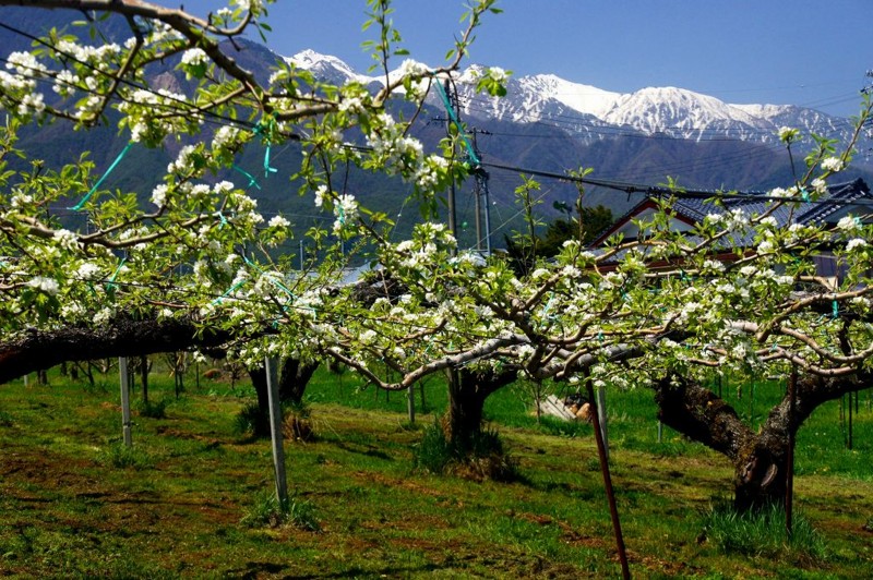 f:id:hashiba511:20120501051710j:image:w500