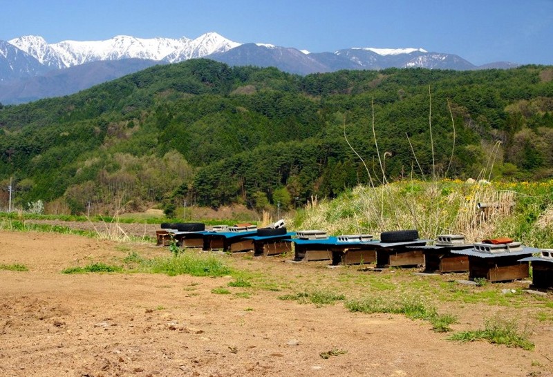 f:id:hashiba511:20120502054348j:image:w500