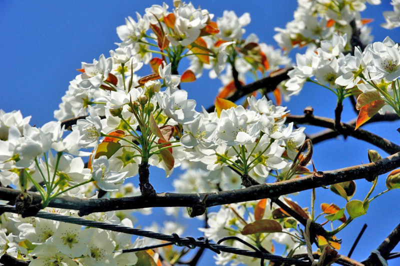 f:id:hashiba511:20120502054351j:image:w500