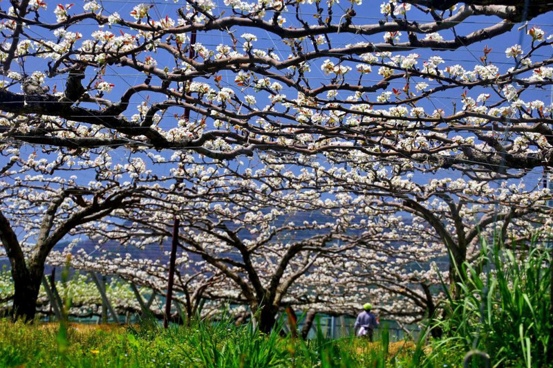 f:id:hashiba511:20120502054352j:image:w500