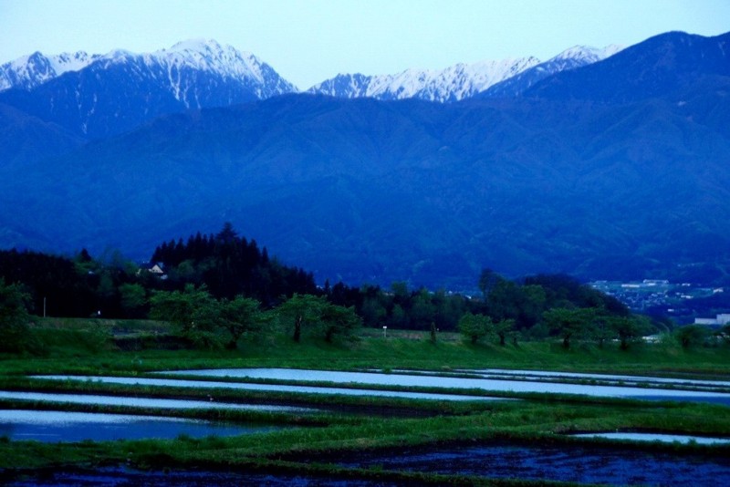 f:id:hashiba511:20120504050421j:image:w500