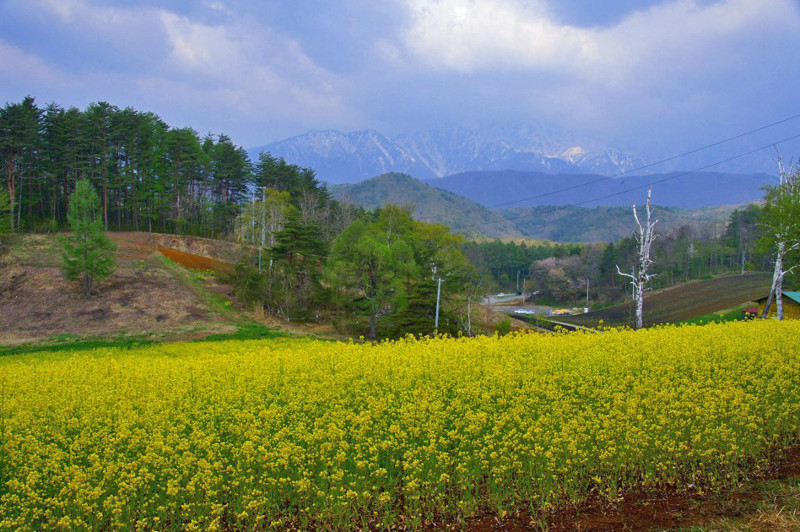 f:id:hashiba511:20120511025909j:image:w500