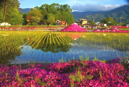 f:id:hashiba511:20120516074244j:image:w500