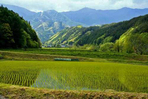 f:id:hashiba511:20120516074245j:image:w500