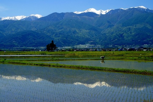 f:id:hashiba511:20120516074246j:image:w500