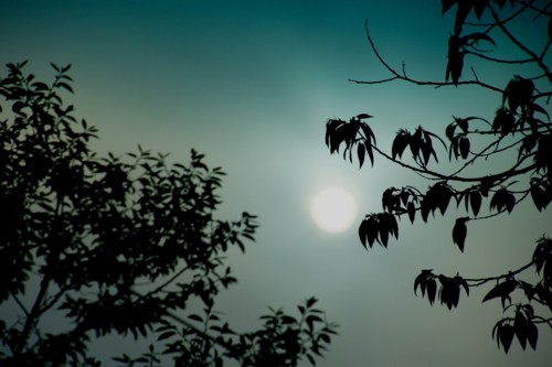 f:id:hashiba511:20120518050331j:image