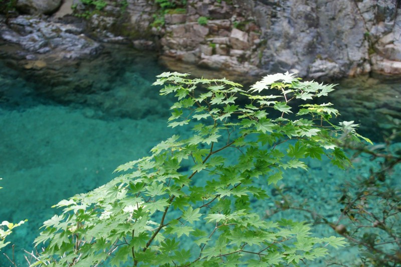 f:id:hashiba511:20120526044453j:image:w500