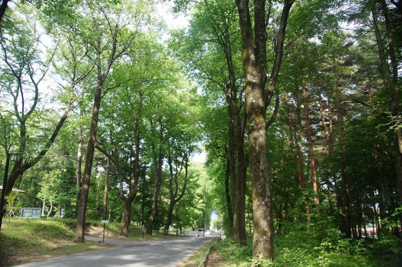 f:id:hashiba511:20120529052808j:image:w500