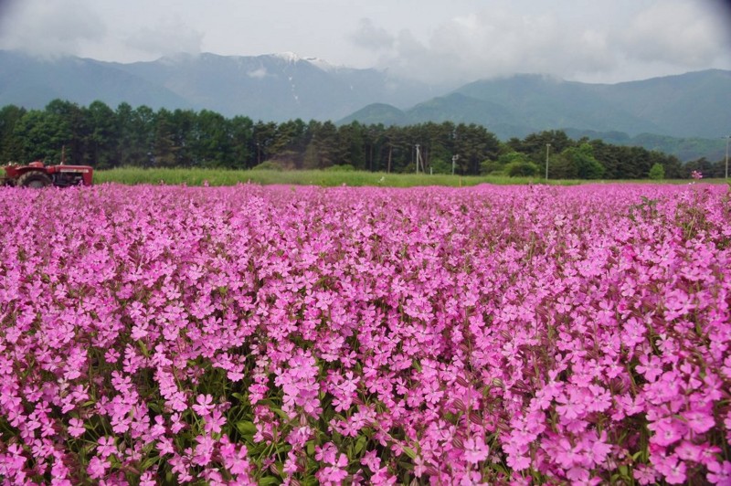 f:id:hashiba511:20120601042805j:image:w500