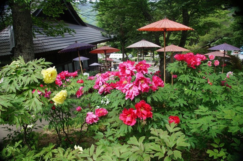 f:id:hashiba511:20120602084725j:image:w500