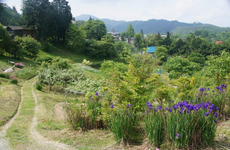 f:id:hashiba511:20120608031605j:image:w500