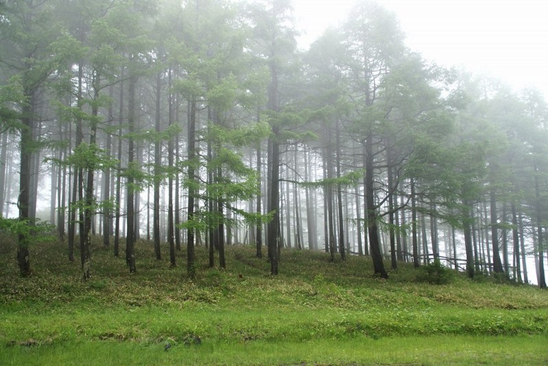 f:id:hashiba511:20120610071717j:image:w500