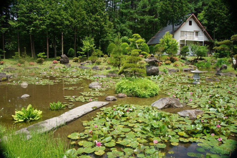 f:id:hashiba511:20120618050128j:image:w500