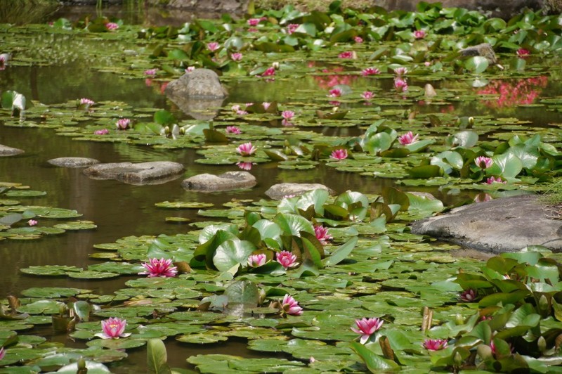f:id:hashiba511:20120618050129j:image:w500