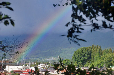 f:id:hashiba511:20120621052500j:image:w500