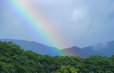 f:id:hashiba511:20120621052501j:image:w500