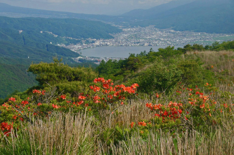 f:id:hashiba511:20120624071226j:image:w500