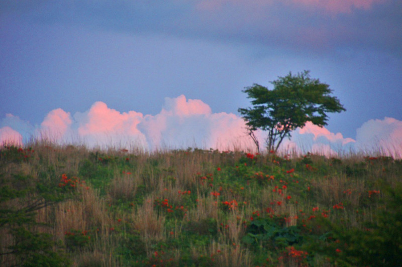 f:id:hashiba511:20120627045631j:image:w500